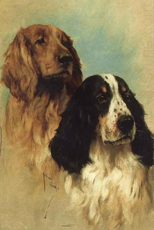 John emms English Springer Spaniels at Rest china oil painting image